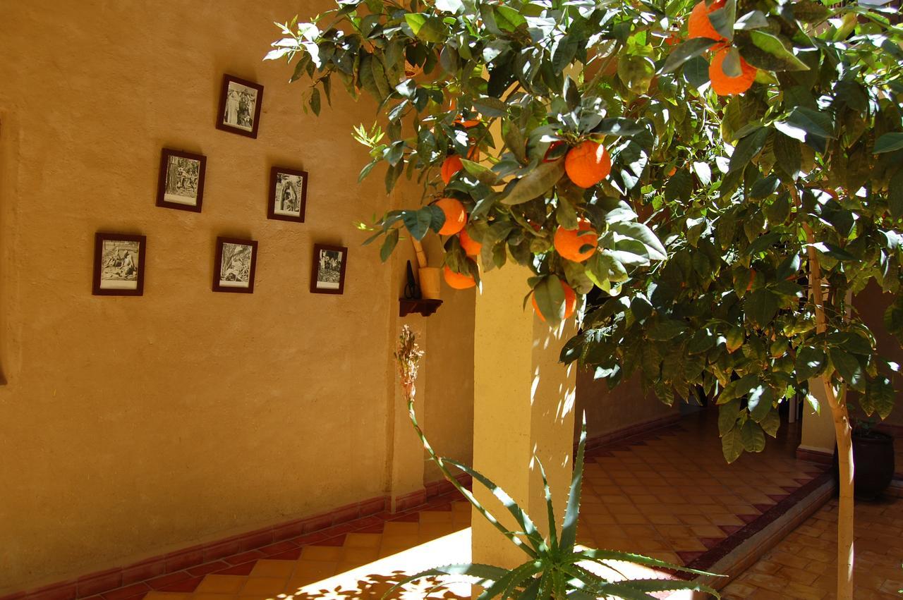 Auberge Amellagou Exterior photo